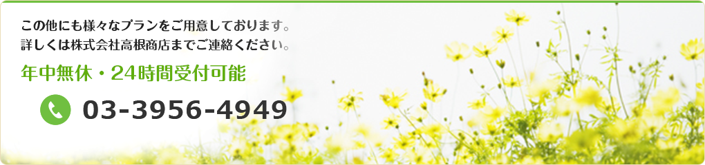 この他にも様々なプランをご用意しております。詳しくは高根商店株式会社までご連絡ください。